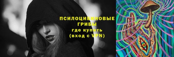 бошки Медногорск