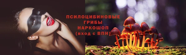 таблы Медвежьегорск
