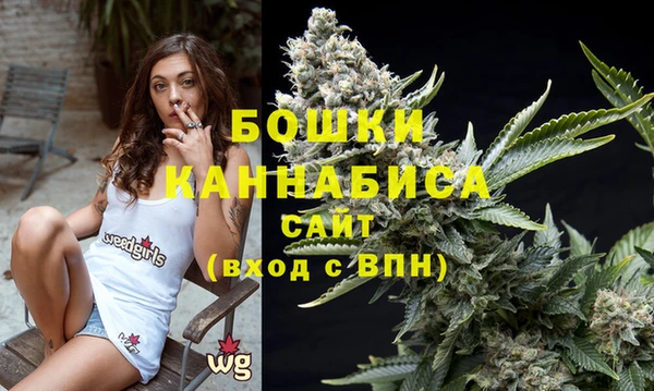бошки Медногорск