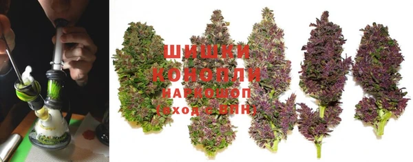 бошки Медногорск
