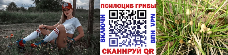 Купить  Лиски  Галлюциногенные грибы прущие грибы 